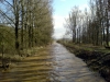 diemelhochwasser-2008-2