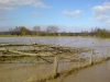 diemelhochwasser-2008-4
