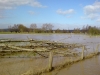 diemelhochwasser-2008-4