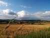 Spaetsommer am Heinberg (8)