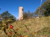 Ossendorfer Herbstimpressionen 10.2017- (103)