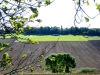 judenfriedhof_heinturm_gr